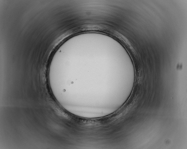 X0000101180786200807250939