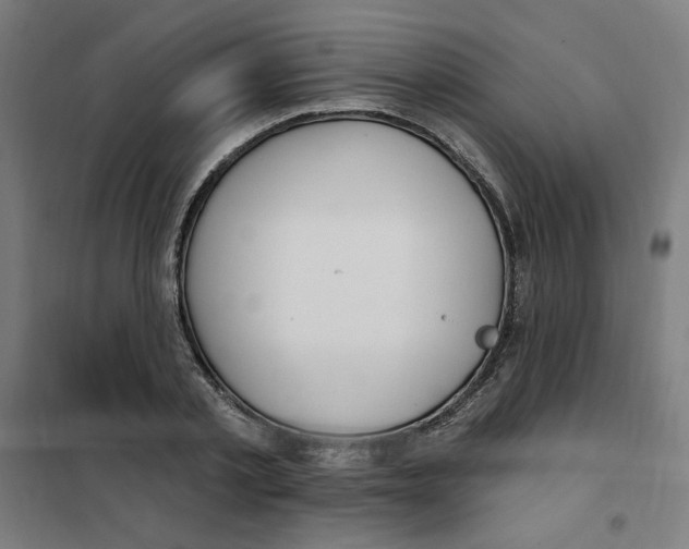 X0000101180789200807250939