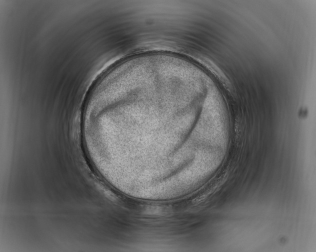 X0000101180790200807250939