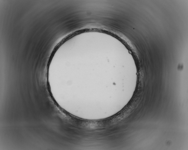 X0000101180791200807250939