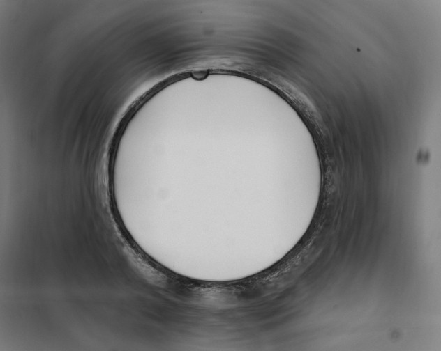 X0000101180792200807250939