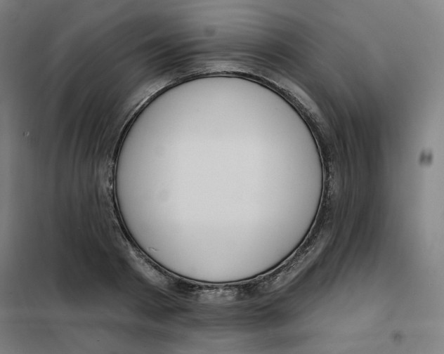 X0000101180793200807250938