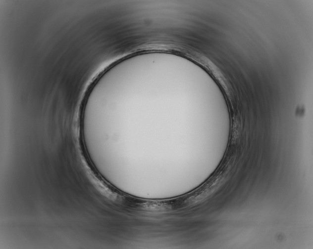 X0000101180795200807250938