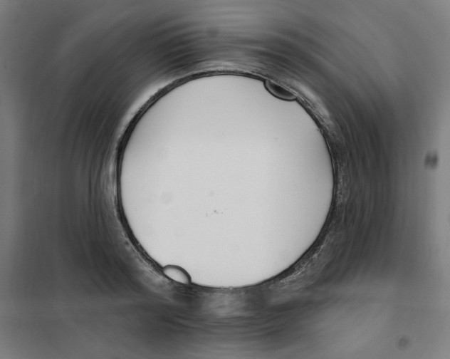 X0000101180796200807250938