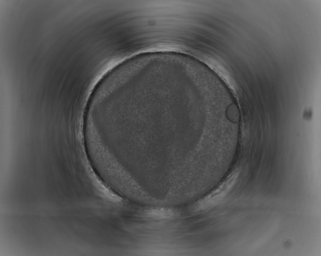 X0000101180797200807250938