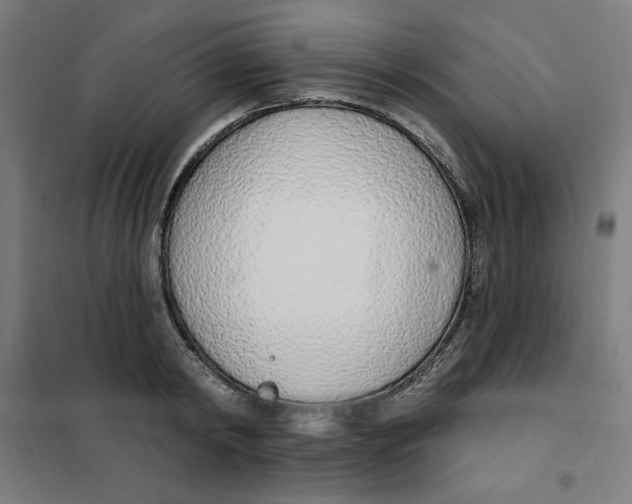 X0000101180798200807250938