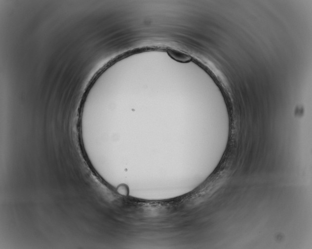 X0000101180799200807250938