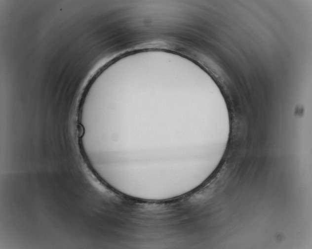 X0000101180800200807250938