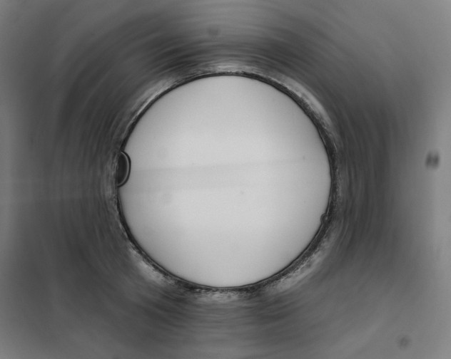 X0000101180801200807250938