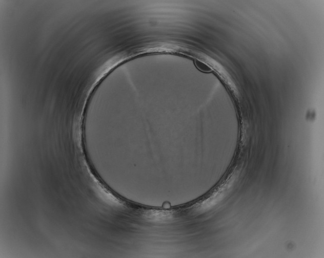 X0000101180802200807250938