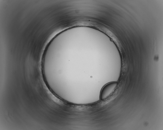 X0000101180803200807250938