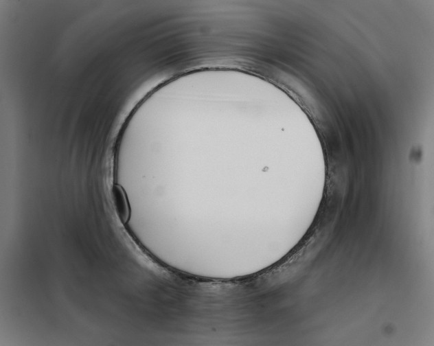 X0000101180804200807250938