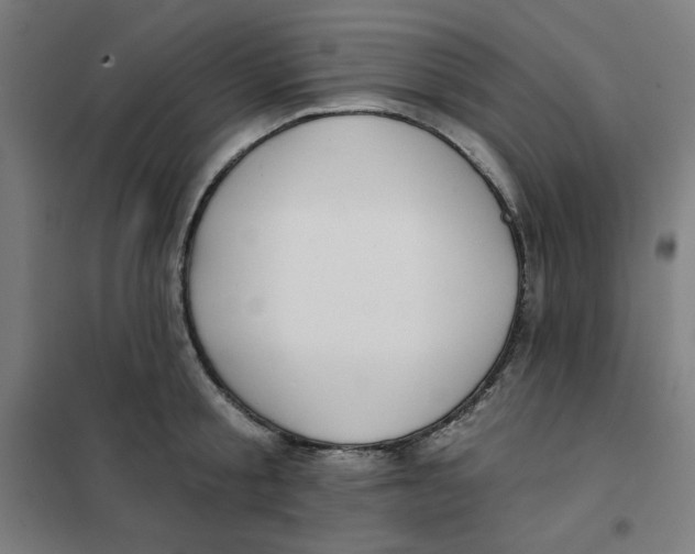 X0000101180805200807250938