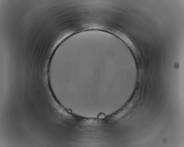 X0000101180806200807250938