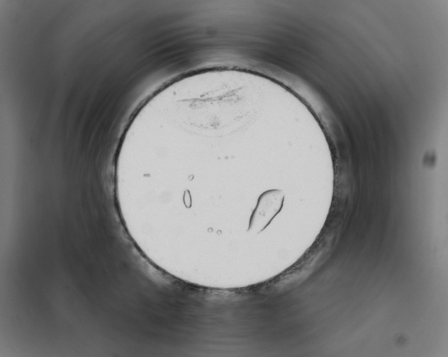 X0000101180807200807250938