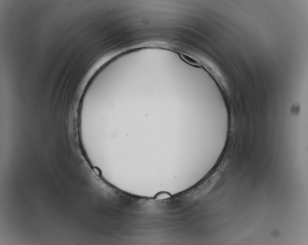 X0000101180808200807250938