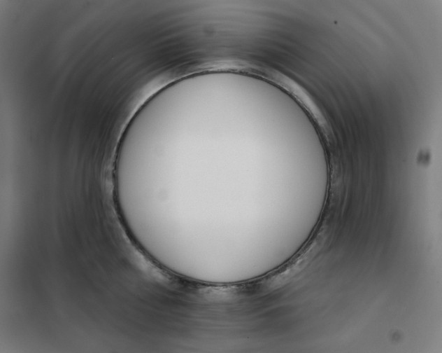 X0000101180810200807250938