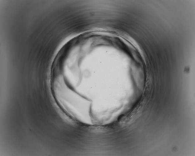 X0000101180811200807250938