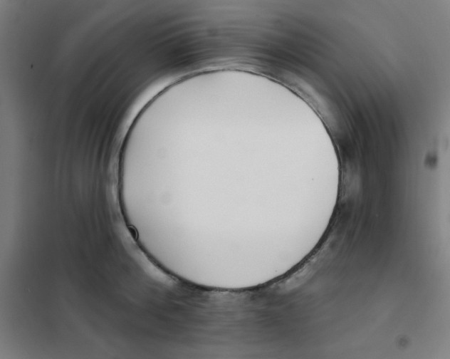 X0000101180812200807250938