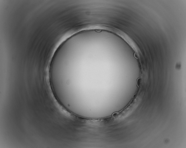 X0000101180813200807250938