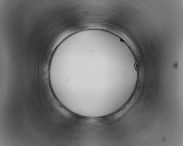 X0000101180814200807250938