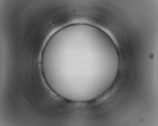 X0000101180815200807250938