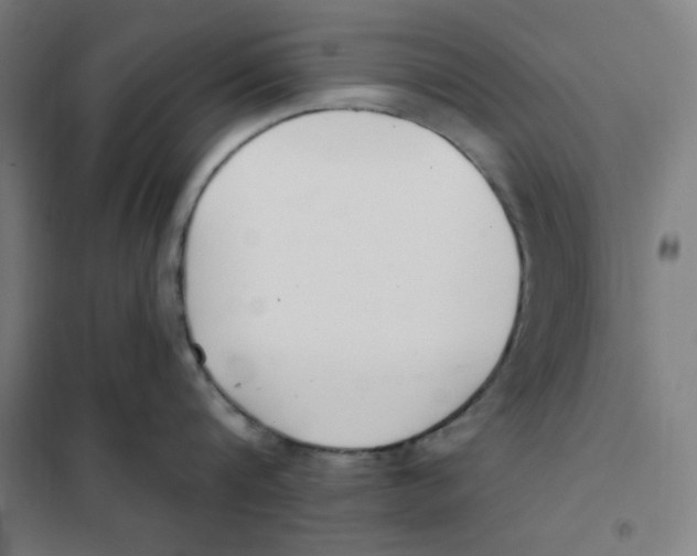 X0000101180816200807250938