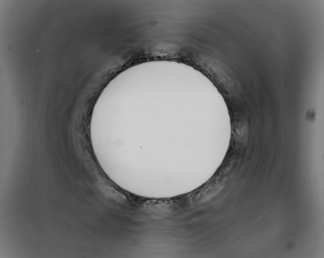 X0000101180817200807250937