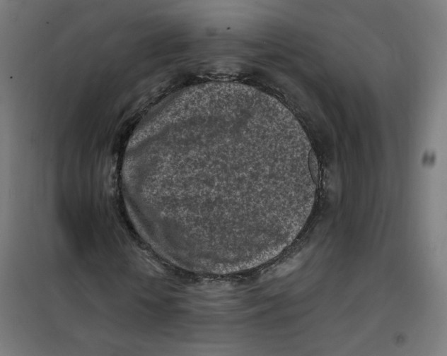 X0000101180818200807250937