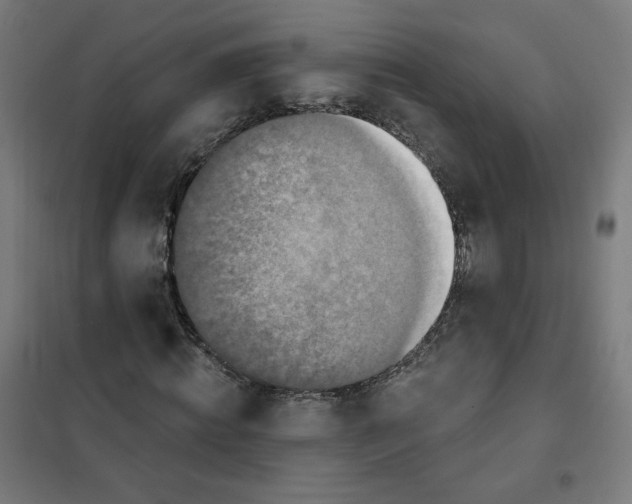 X0000101180820200807250937