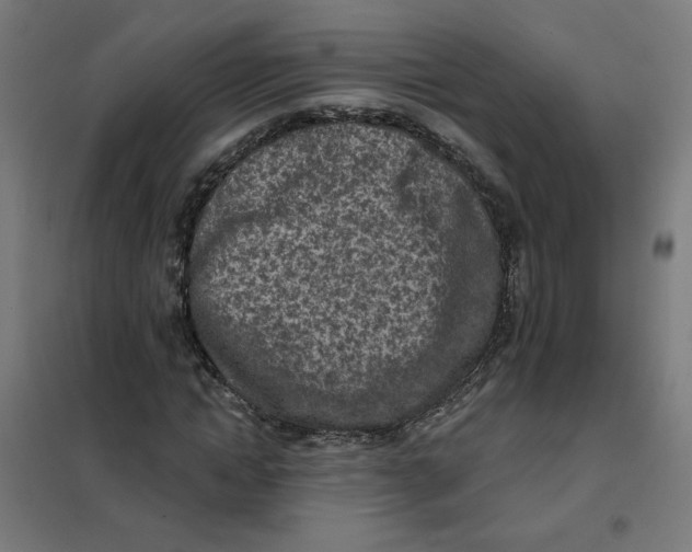 X0000101180822200807250937