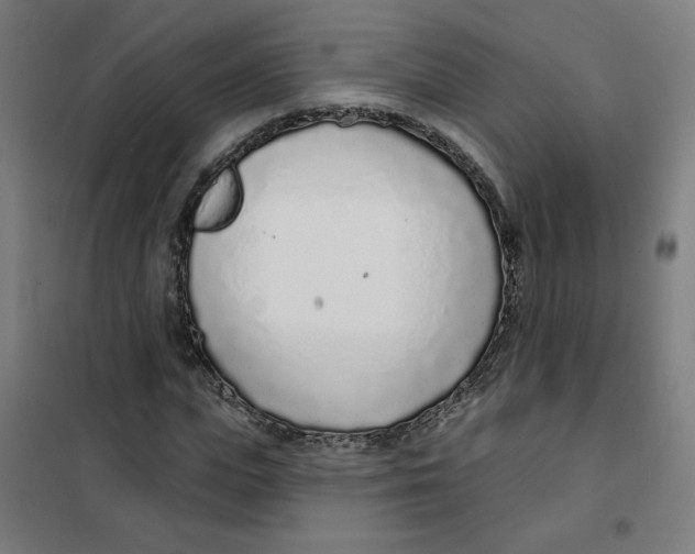 X0000101180823200807250937