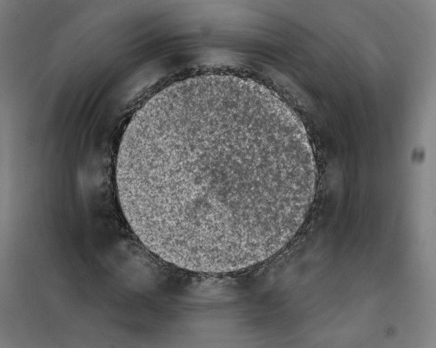 X0000101180824200807250937