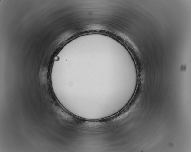 X0000101180825200807250937