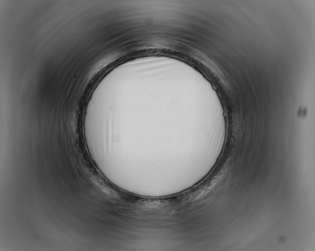 X0000101180826200807250937