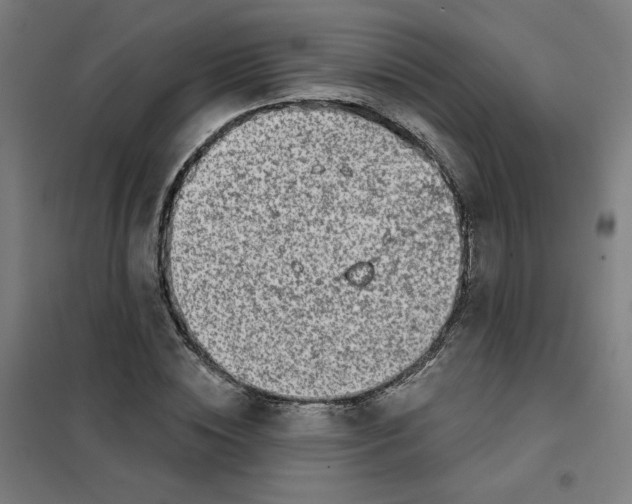 X0000101180828200807250937