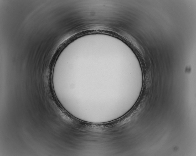 X0000101180831200807250938