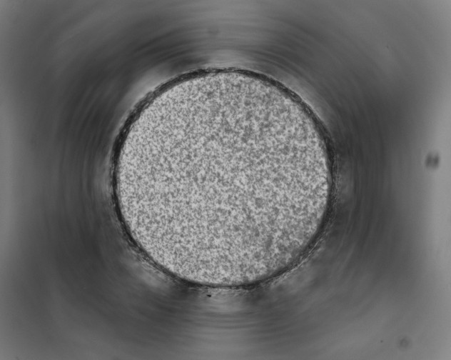 X0000101180832200807250938