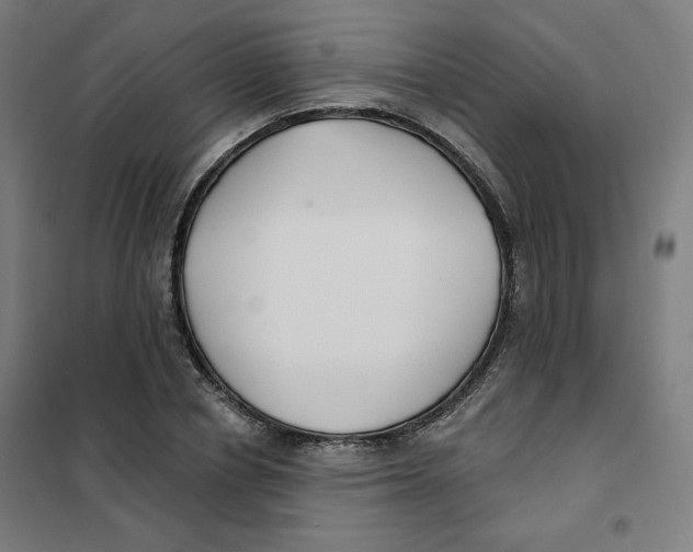 X0000101180834200807250938