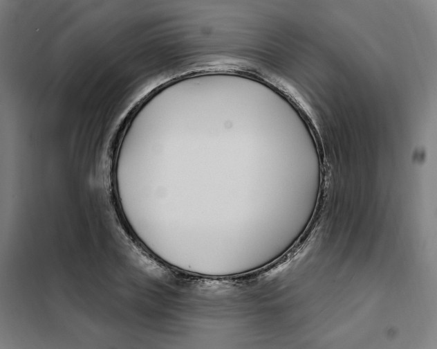 X0000101180835200807250938