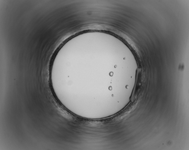 X0000101180837200807250938