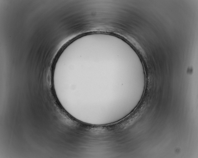 X0000101180838200807250938