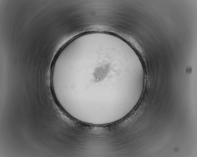 X0000101180839200807250938