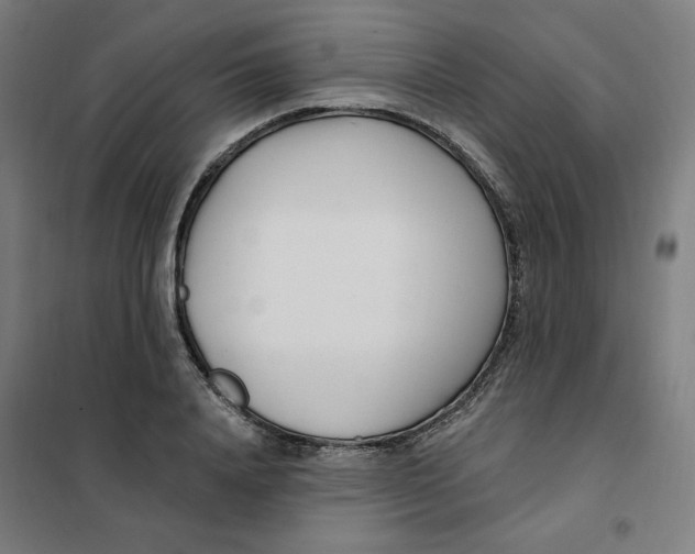 X0000101180840200807250938