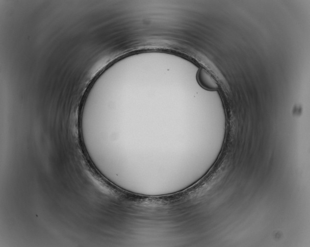 X0000101180842200807250938