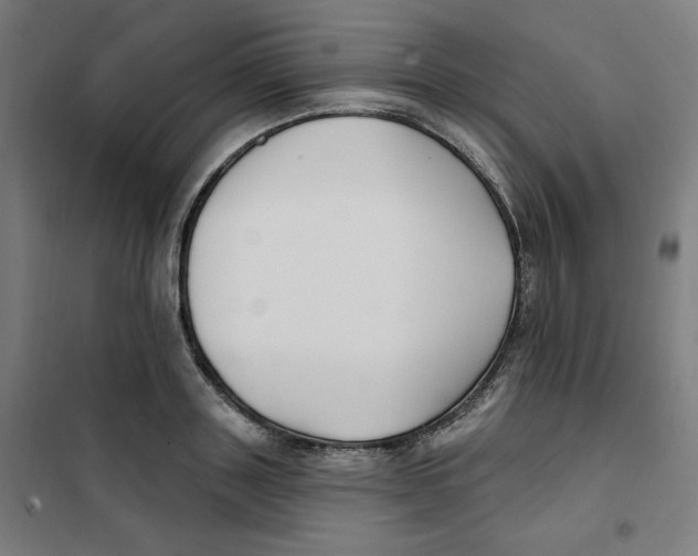 X0000101180843200807250938