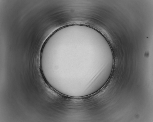 X0000101180844200807250938