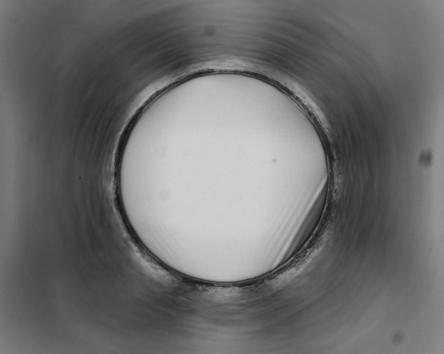 X0000101180845200807250938