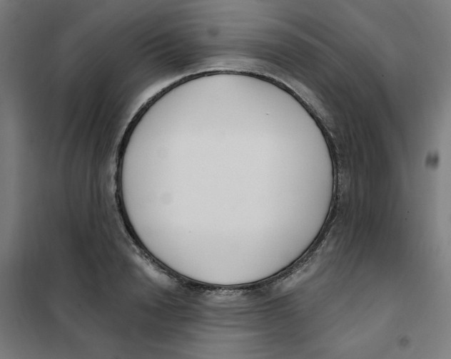 X0000101180846200807250938