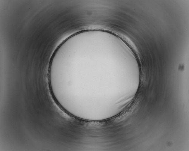 X0000101180847200807250938